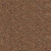 Цвет Коньяк